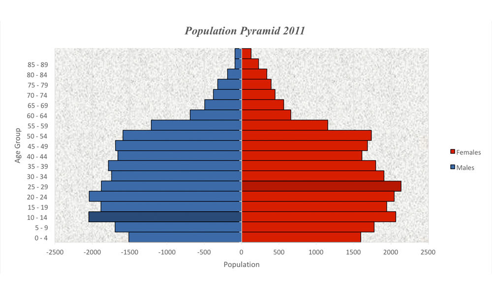 Population Pyramid 2011